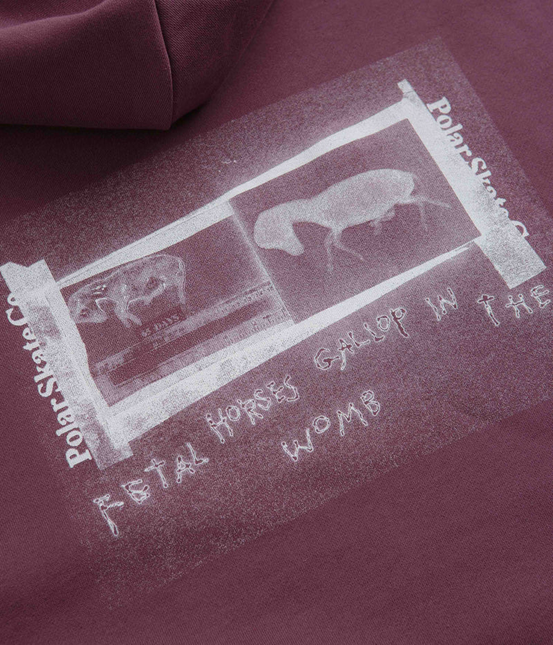Polar Beautiful Horses Dave Hoodie in Plum