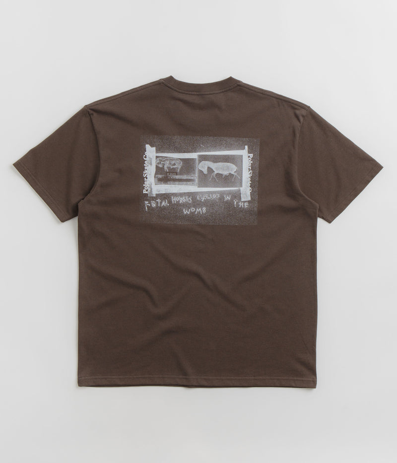 Polar Beautiful Horses T-Shirt in Chocolate