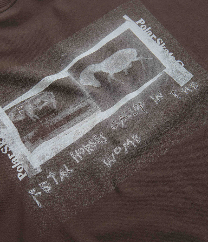 Polar Beautiful Horses T-Shirt in Chocolate