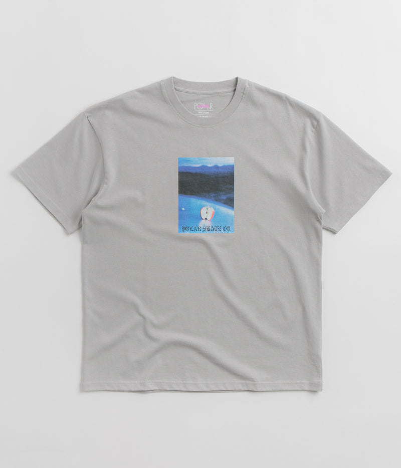 Polar Core T-Shirt in Silver