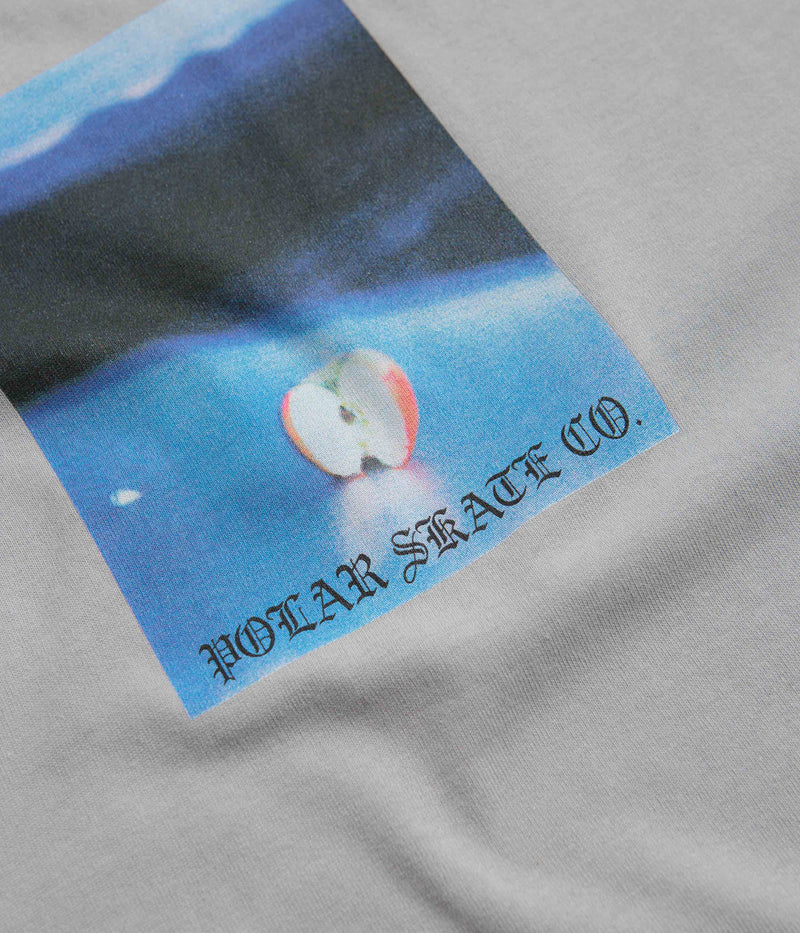 Polar Core T-Shirt in Silver
