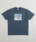 Polar Dead Flowers T-Shirt in Grey Blue