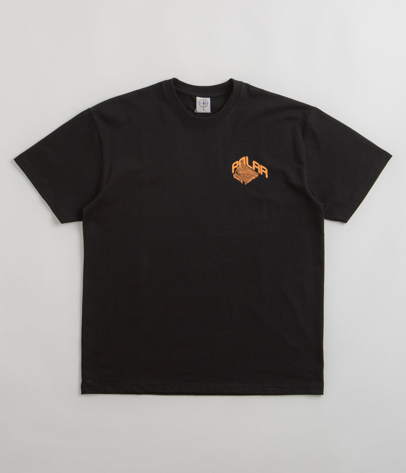 Polar Graph T-Shirt in Black