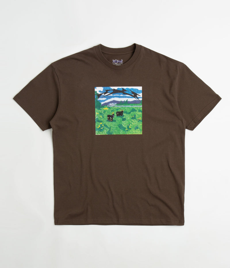 Polar Meeeh T-Shirt in Brown