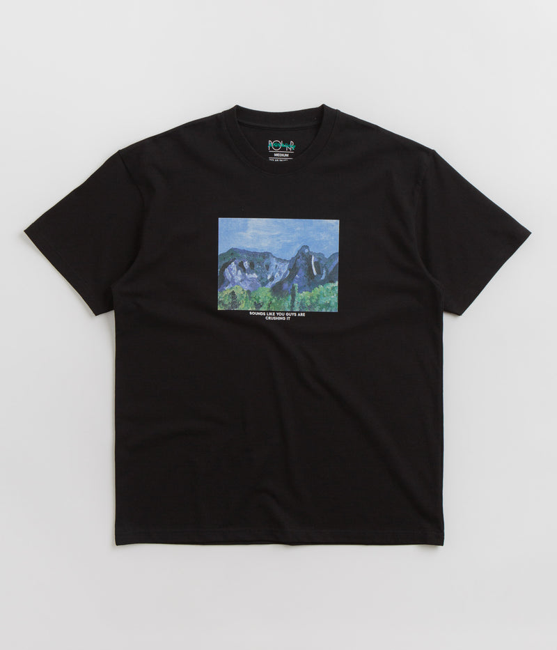 Polar Sounds Like You Guys Are Crushing It T-Shirt in Black