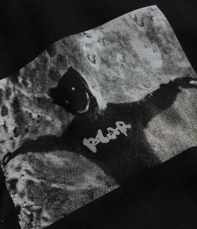 Polar Sustained Disintegration Ed Hoodie in Black