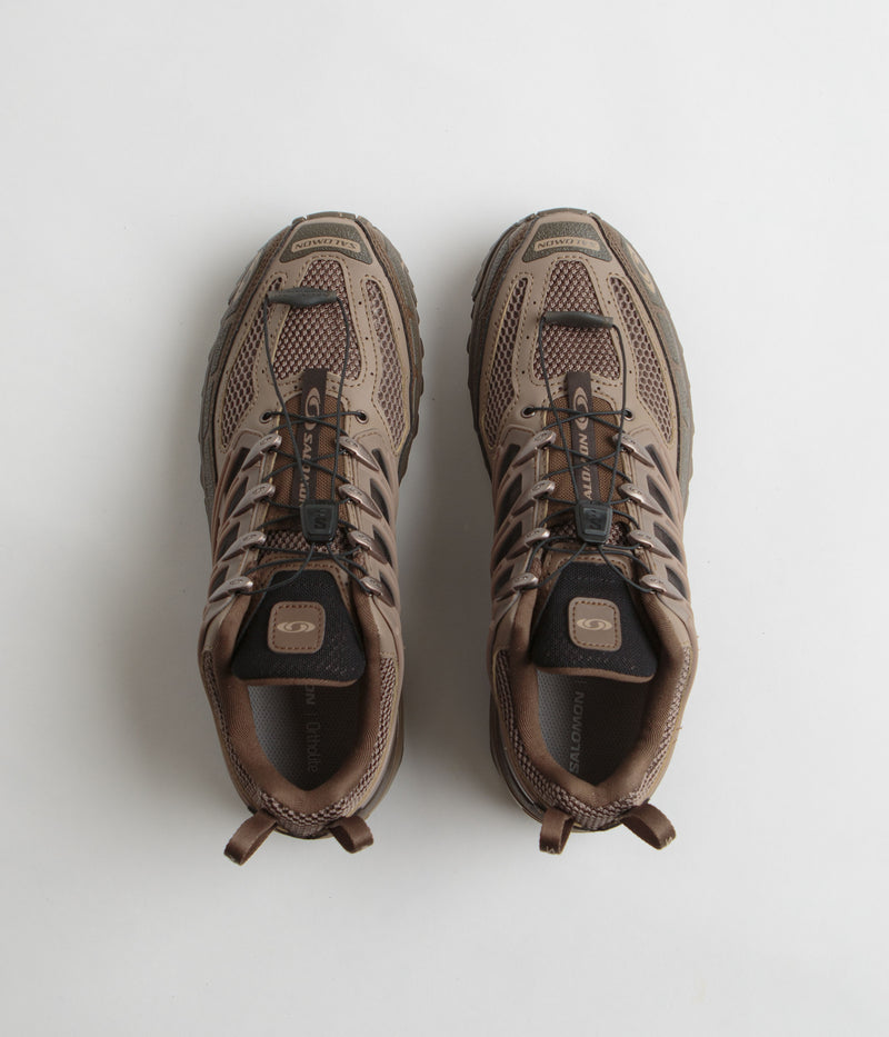 Salomon ACS Pro Desert Shoes in Dark Earth and Caribou / Wren
