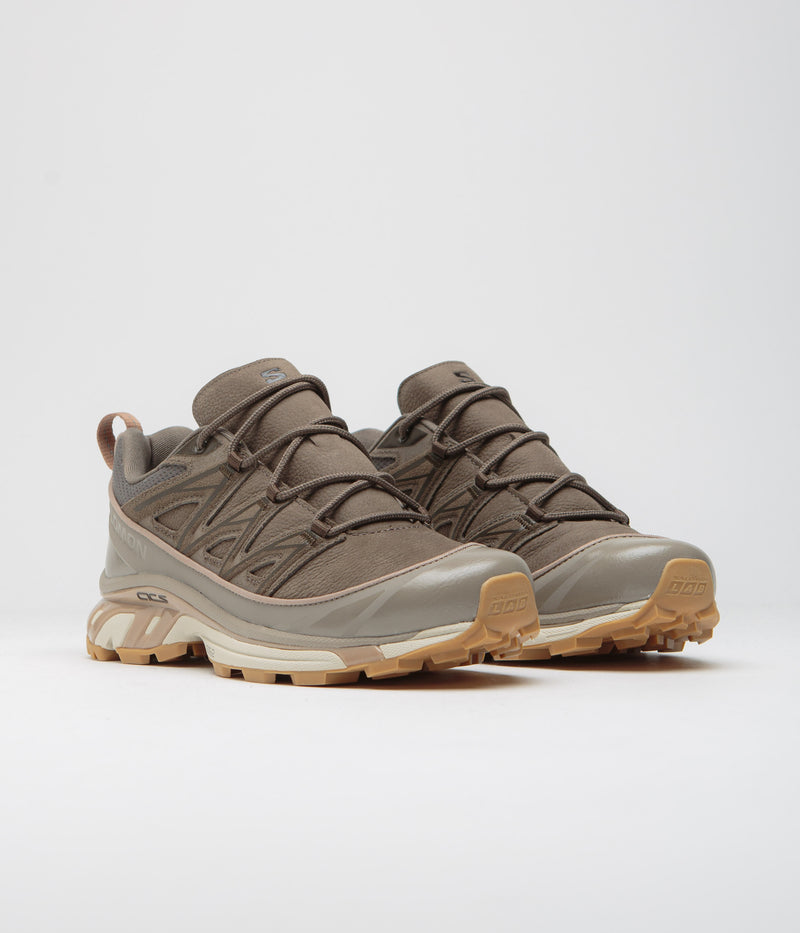 Salomon XT-6 Expanse LTR Shoes in Bungee Cord and Wren / Almond Milk