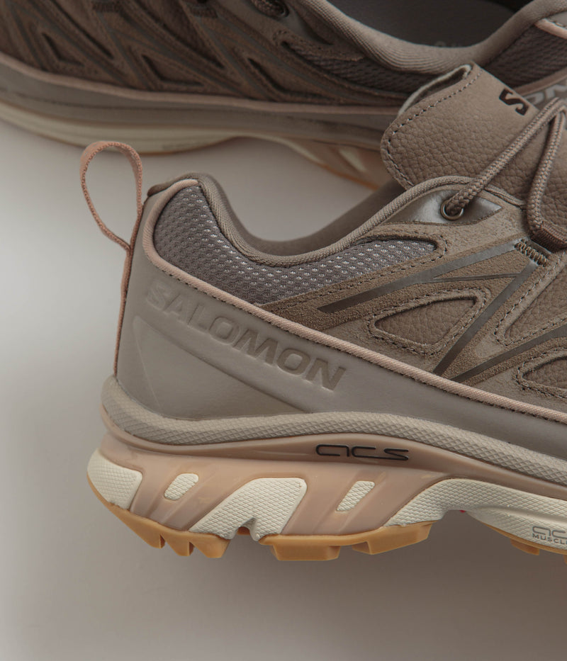 Salomon XT-6 Expanse LTR Shoes in Bungee Cord and Wren / Almond Milk