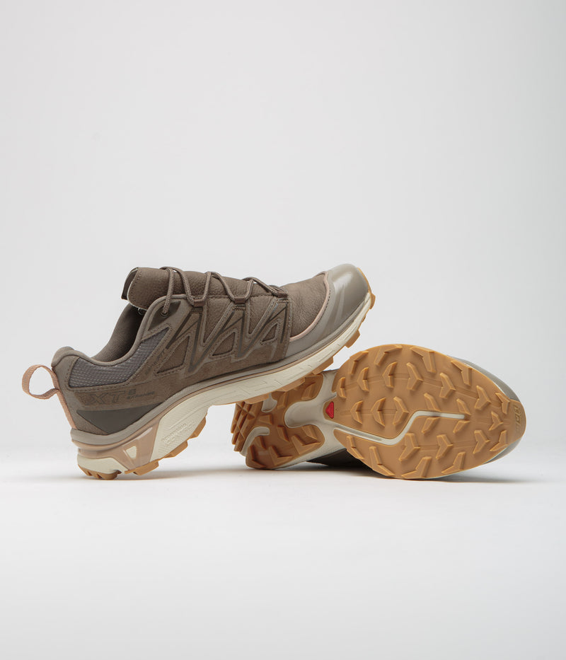 Salomon XT-6 Expanse LTR Shoes in Bungee Cord and Wren / Almond Milk