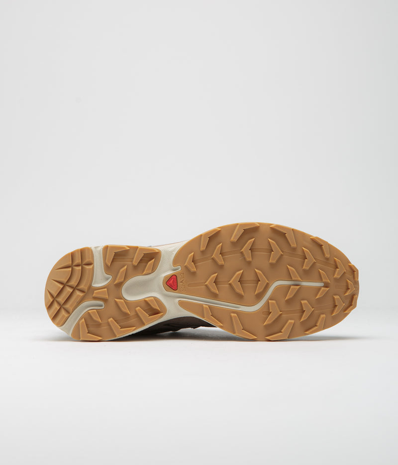 Salomon XT-6 Expanse LTR Shoes in Bungee Cord and Wren / Almond Milk