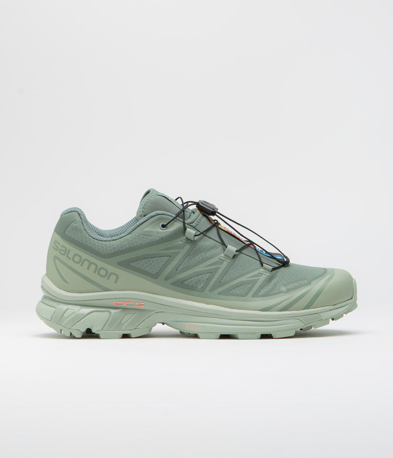 Salomon XT-6 GTX Shoes in Desert Sage and Lily Pad / Laurel Wreath