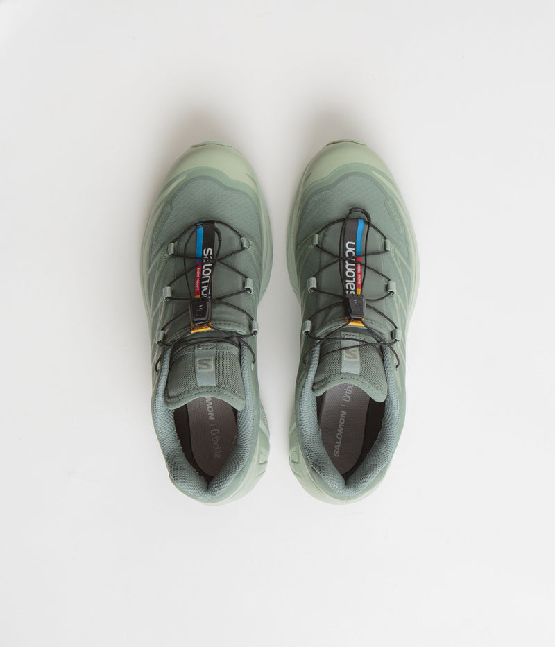 Salomon XT-6 GTX Shoes in Desert Sage and Lily Pad / Laurel Wreath