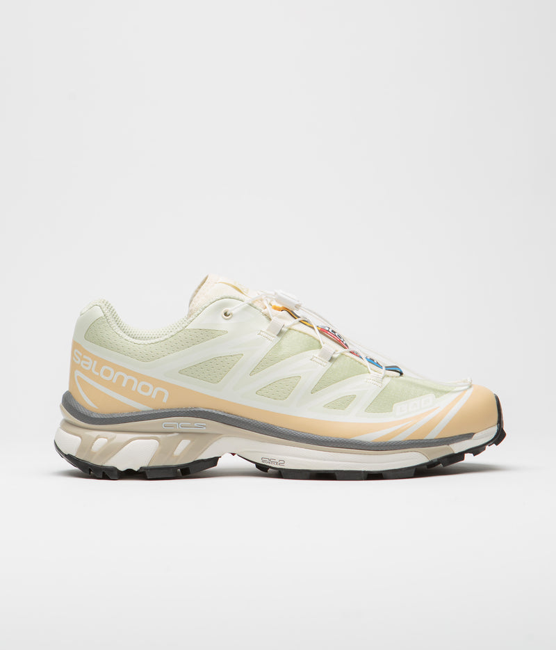 Salomon XT-6 Shoes in Aloe Wash and Hazelnut / Feather Gray