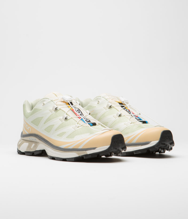 Salomon XT-6 Shoes in Aloe Wash and Hazelnut / Feather Gray