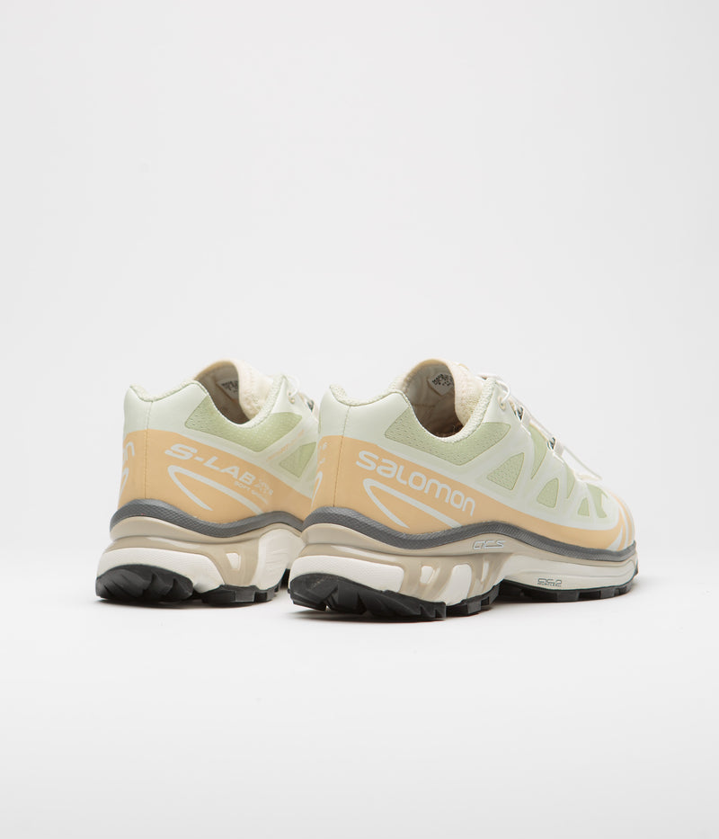 Salomon XT-6 Shoes in Aloe Wash and Hazelnut / Feather Gray