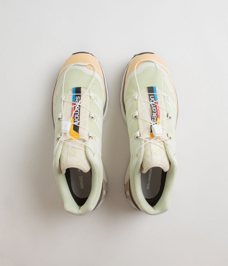 Salomon XT-6 Shoes in Aloe Wash and Hazelnut / Feather Gray