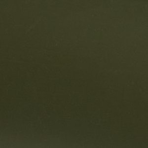 Sperry Saltwater™ 1 Eye Duck Shoe FOOTWEAR image