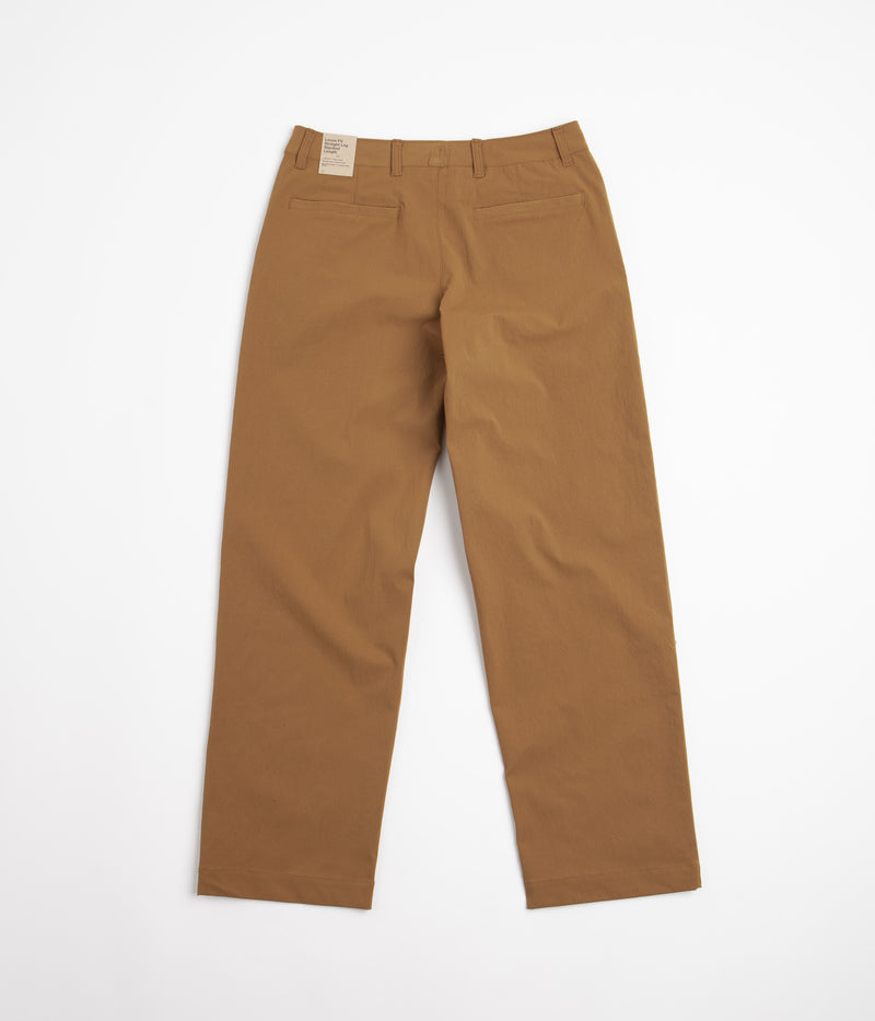 Nike SB Eco El Chino Pants in Ale Brown