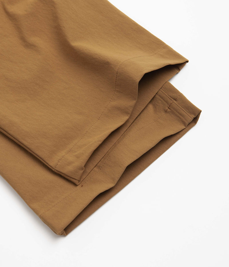 Nike SB Eco El Chino Pants in Ale Brown
