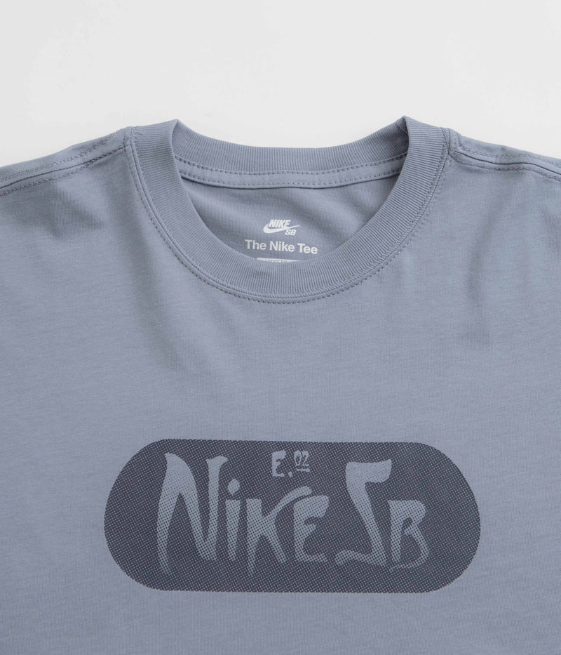 Nike SB Graphic Long Sleeve T-Shirt in Ashen Slate