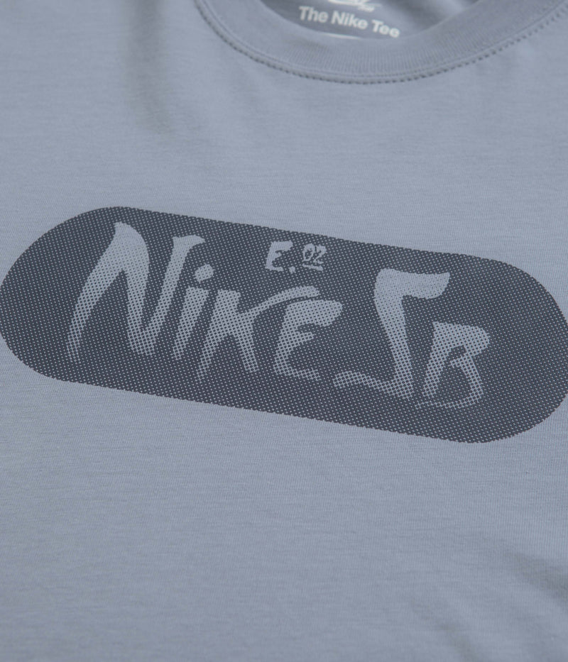 Nike SB Graphic Long Sleeve T-Shirt in Ashen Slate