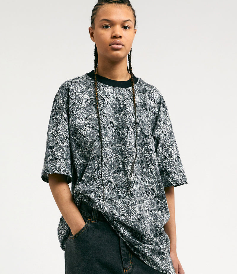 Nike SB Paisley T-Shirt in Sail