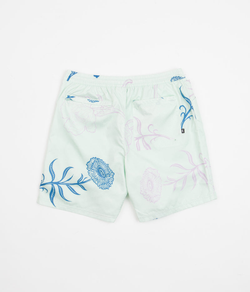 Nike SB Water Shorts in Barely Green
