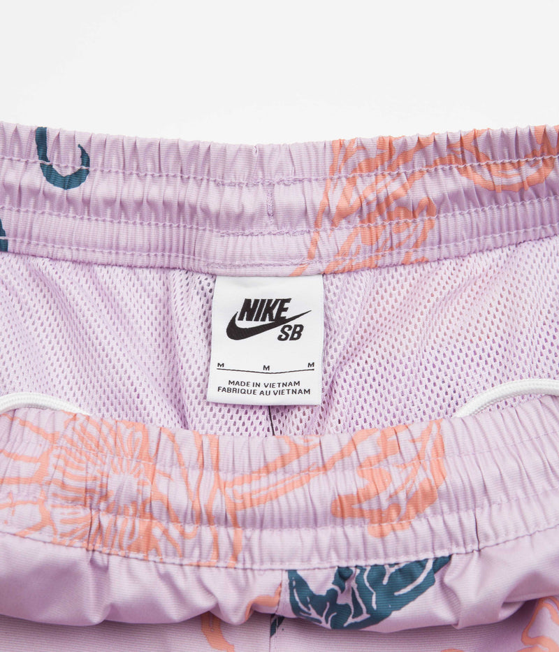 Nike SB Water Shorts in Doll
