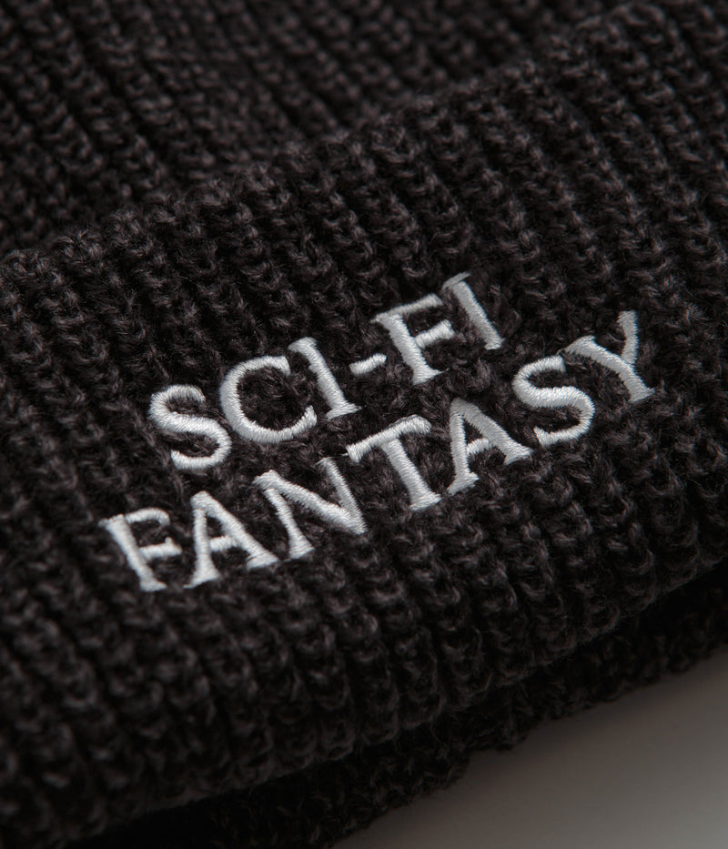 Sci-Fi Fantasy Mixed Yarn Logo Beanie in Black and Gray