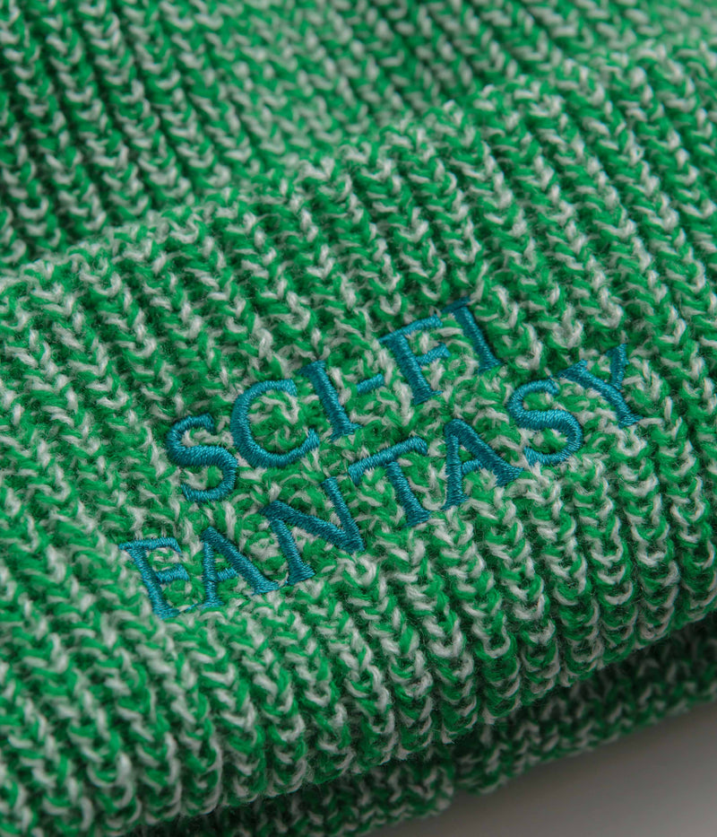Sci-Fi Fantasy Mixed Yarn Logo Beanie in Green and Cream