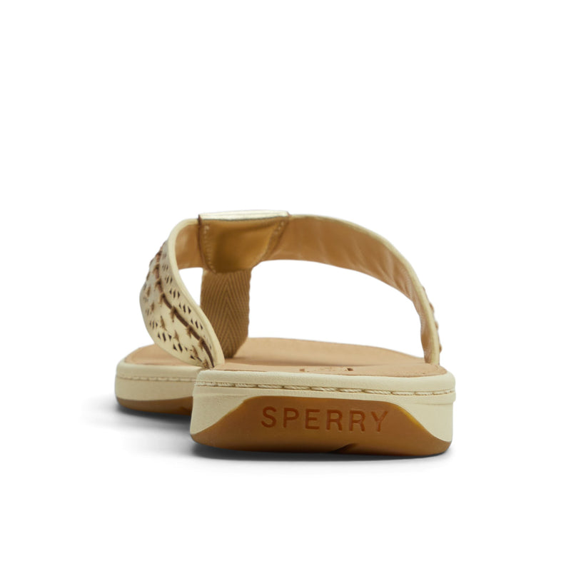 Sperry Seafish 3 Flip Flop Sandal FOOTWEAR image