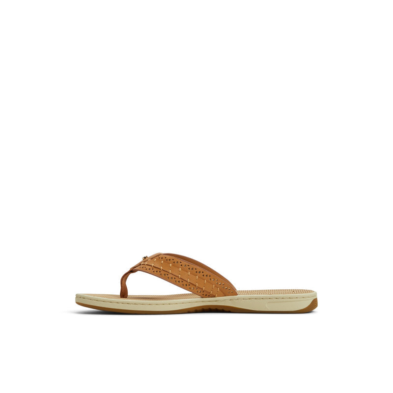 Sperry Seafish 3 Flip Flop Sandal FOOTWEAR image