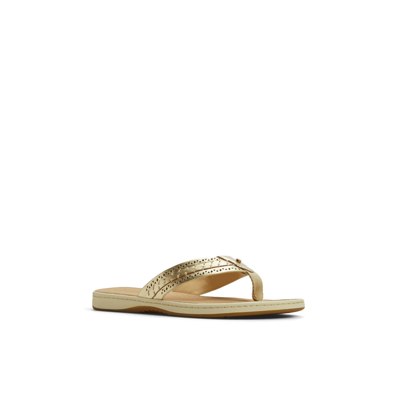 Sperry Seafish 3 Flip Flop Sandal FOOTWEAR image