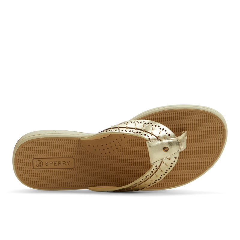 Sperry Seafish 3 Flip Flop Sandal FOOTWEAR image