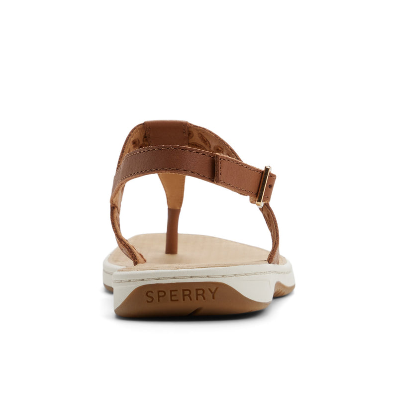 Sperry Sunfish Thong Sandal FOOTWEAR image