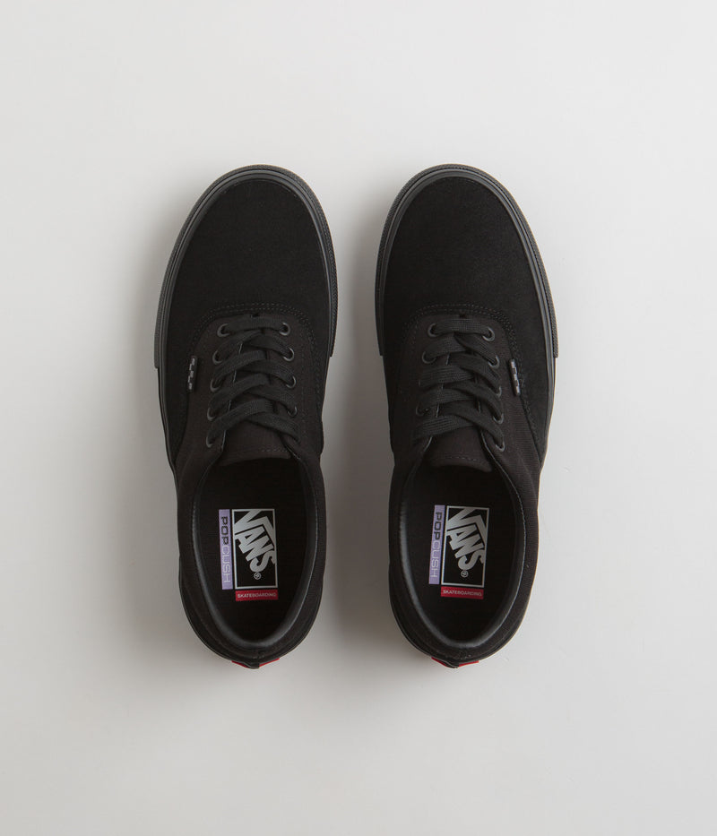 Vans Skate Era Shoes in Black and Black